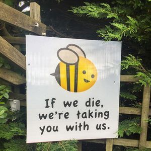 Meet your Posher, Jane